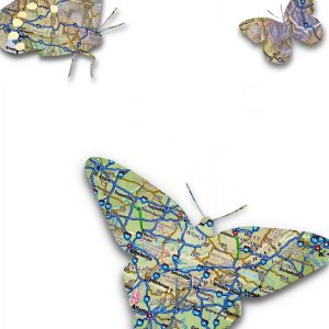 Butterflies Guide Kindle eBook Tenth Edition Houghton Mifflin-0