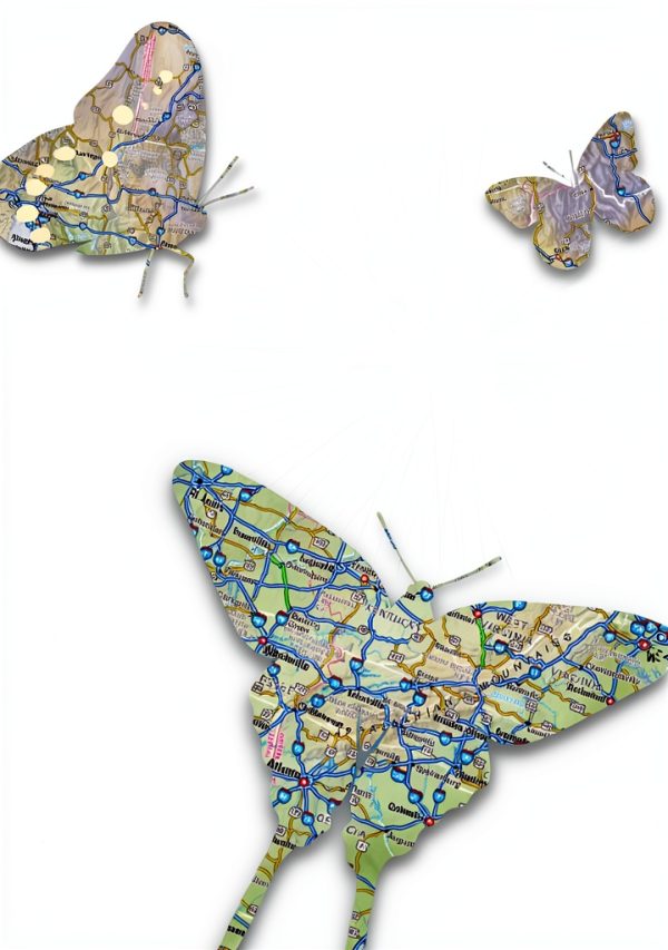 Butterflies Guide Kindle eBook Tenth Edition Houghton Mifflin-0