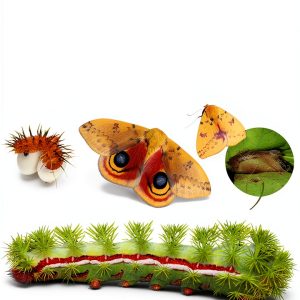 Butterfly Identification Guide for Grades 4-7 by Storey Publishing-0